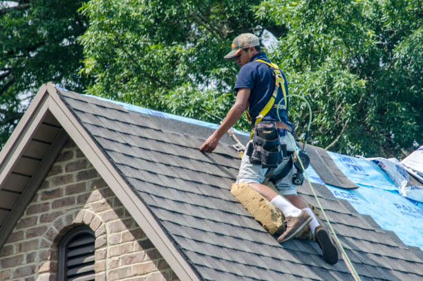 Quick and Trustworthy Emergency Roof Repair Services in Bee Ridge, FL